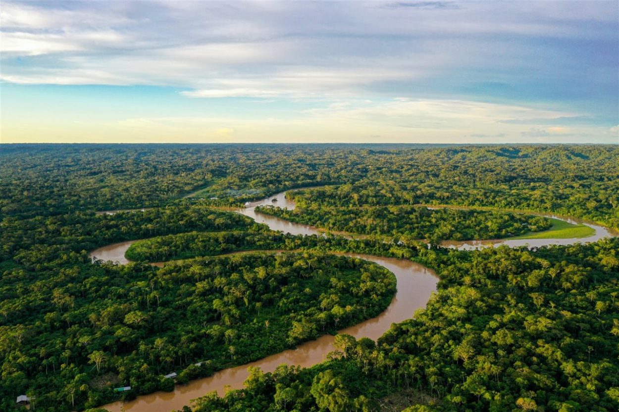 ¿Cuál es la importancia del Amazonas para combatir el cambio climático? imagen-1