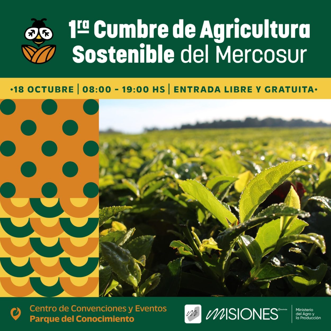 Misiones será sede de la 1° Cumbre de Agricultura Sostenible del Mercosur imagen-6