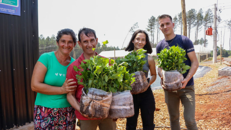 Agro y Biofábrica consolidan nuevas cuencas misioneras productoras de frutas imagen-37