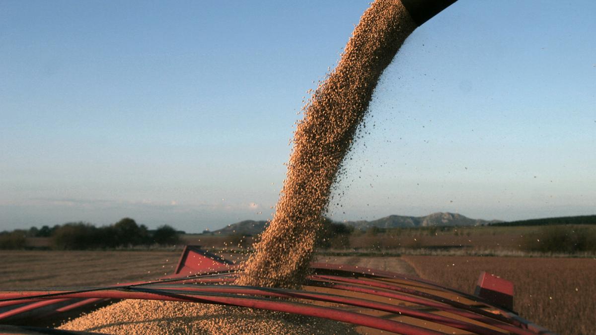 La venta de soja superó las 800.000 toneladas con la nueva edición del Programa de Incremento Exportador imagen-1
