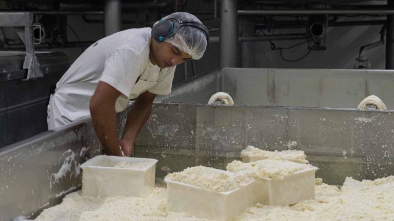 Una pyme argentina desarrolló queso sin lactosa para exportar a Brasil imagen-19