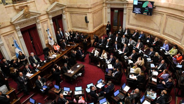 Una por una, las leyes de la maratónica sesión en el Senado imagen-12