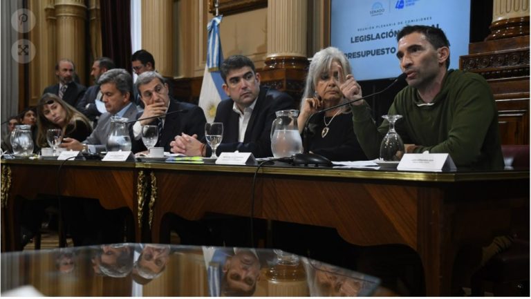 Con negociaciones contrarreloj para lograr dictamen, el Senado debate en comisión la ley de alquileres imagen-6