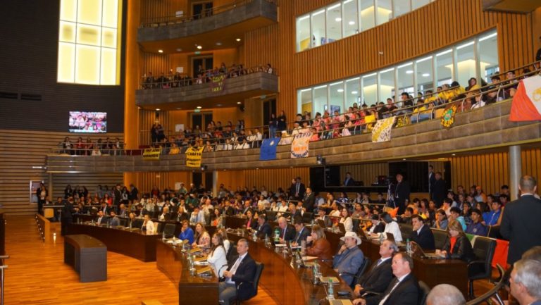 La Legislatura reguló el ejercicio de los profesionales en educación especial imagen-6