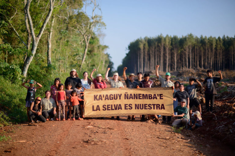 Misiones: Comunidades guaraníes y activistas de Greenpeace reclaman contra multinacional forestal imagen-39