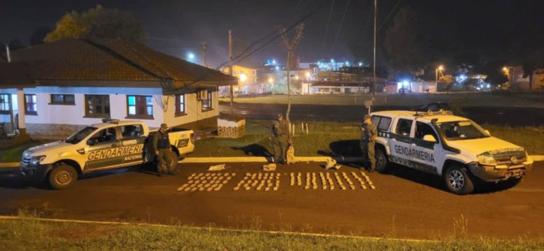 Gendarmes hallan acopio de más de 71 kilos de marihuana entre la maleza imagen-44