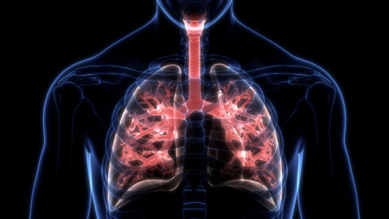 Día Mundial de la Fibrosis Quística: señalan la detección temprana es crucial para mejorar el pronóstico de la patología imagen-24