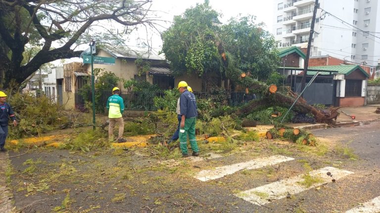 Continúa monitoreo y asistencia para mitigar efectos del temporal imagen-41