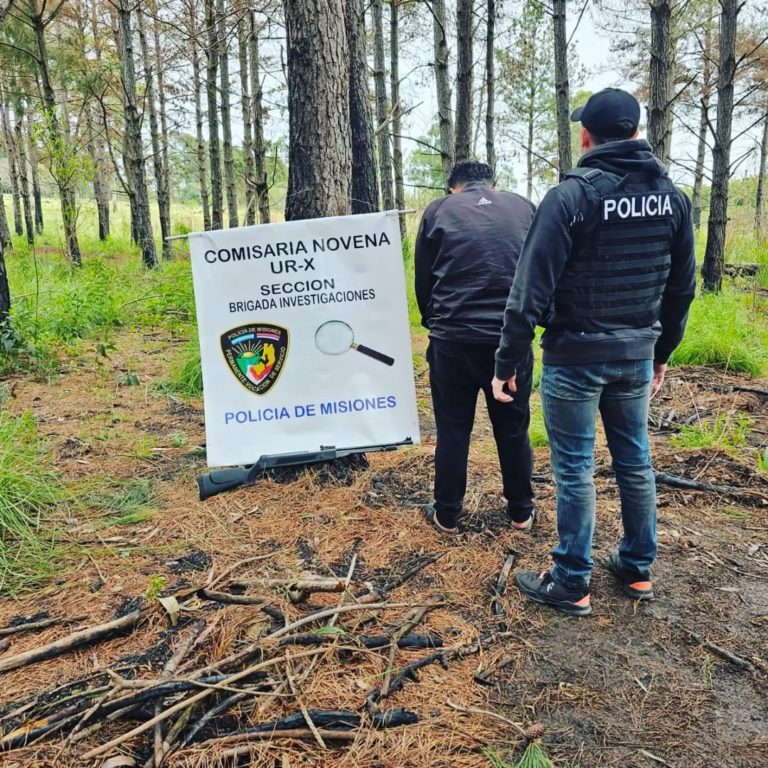 Arrestaron a un hombre por matar a un mono Carayá imagen-28