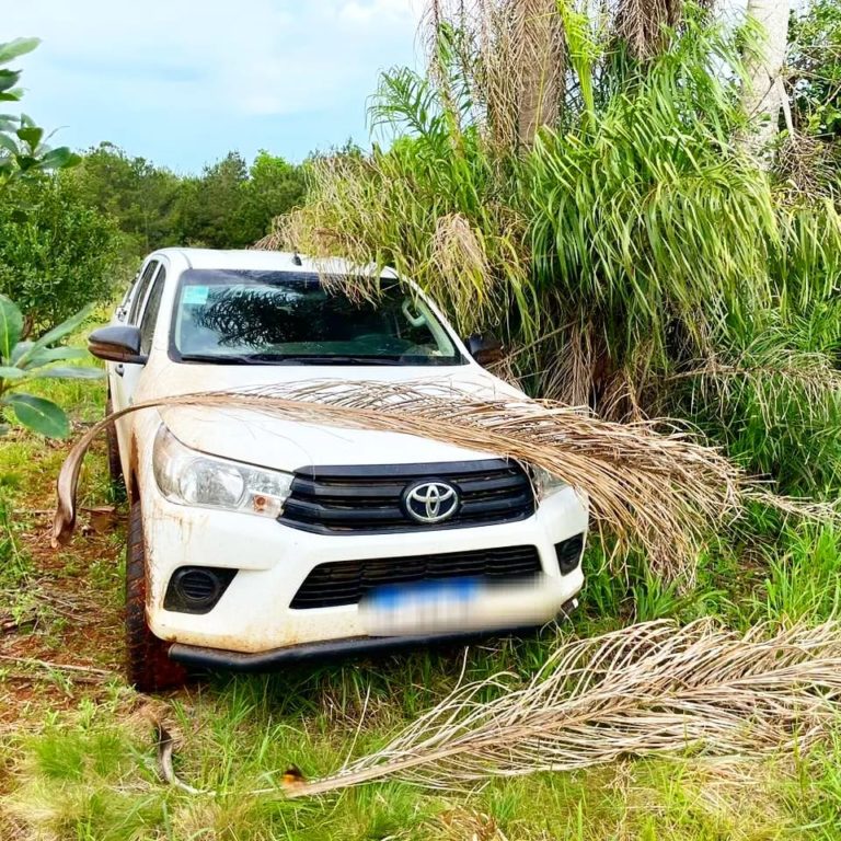 En patrullajes rurales, se recuperó una camioneta robada en San Pedro imagen-27