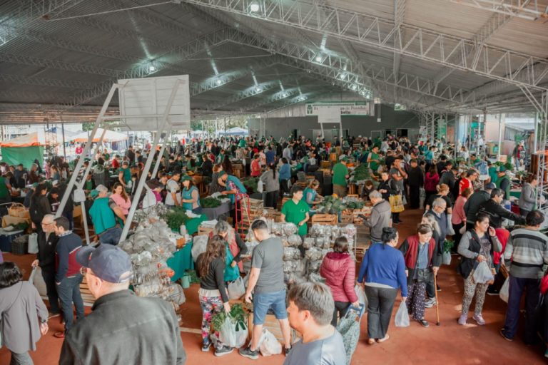 Las Ferias Francas de festejo: 25 años brindando productos de calidad imagen-15