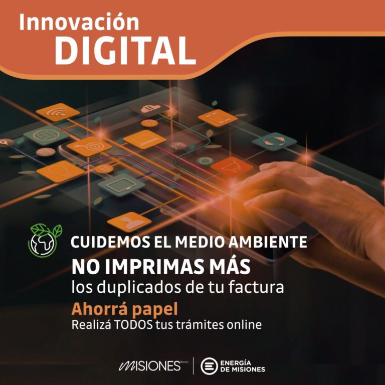 Innovación digital: "En Energía de Misiones fortalecemos nuestro compromiso con la sustentabilidad" imagen-16