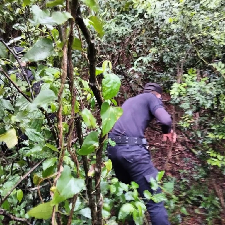 Tras dos días de búsqueda, policías ubicaron en una zona de monte a dos menores que se habían ausentado de sus casas en San Pedro imagen-29