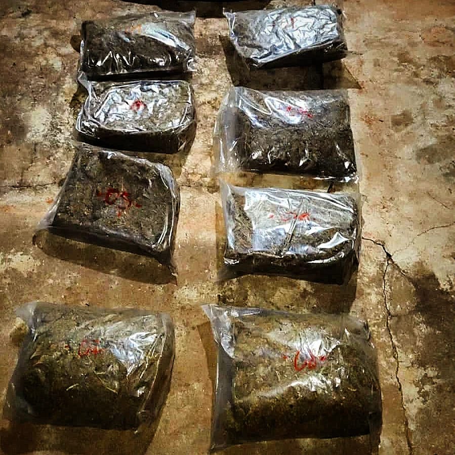 Operativo antidrogas en Candelaria: secuestraron marihuana valuada en casi $3.000.000 imagen-6