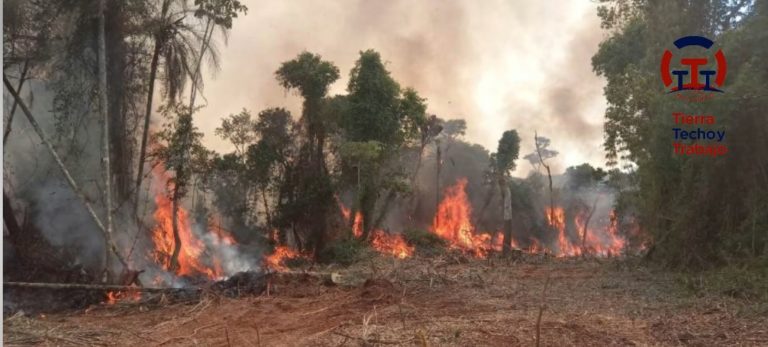 Interés Provincial para el Foro sobre Cambio Climático que habrá en Iguazú imagen-12