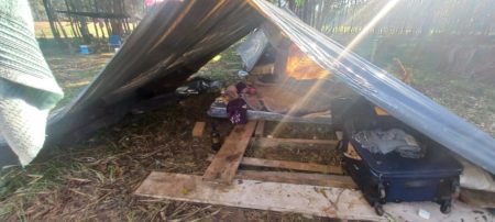 Corrientes: detectaron a 40 trabajadores explotados en un establecimiento forestal imagen-6