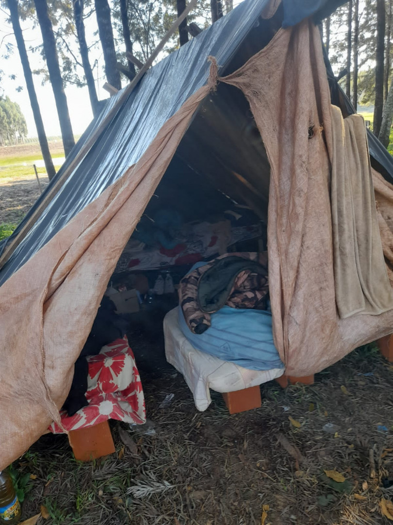 Corrientes: detectaron a 40 trabajadores explotados en un establecimiento forestal imagen-2