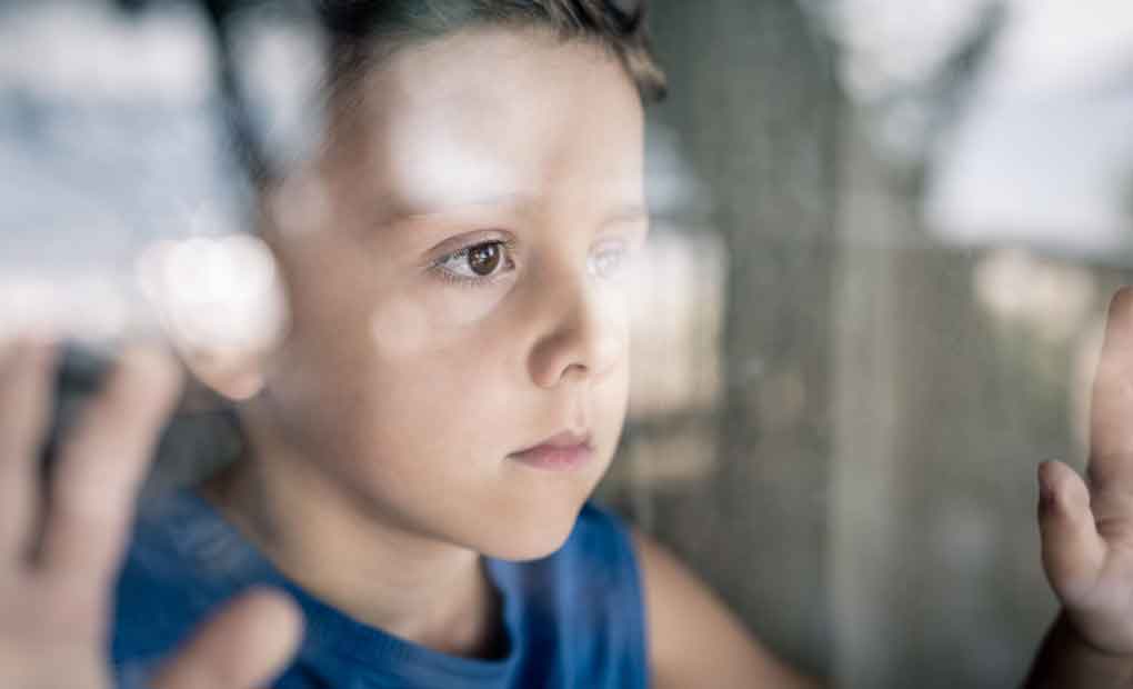 Psicóloga brinda recomendaciones para trabajar la angustia y la baja tolerancia a la frustración en niños  imagen-2
