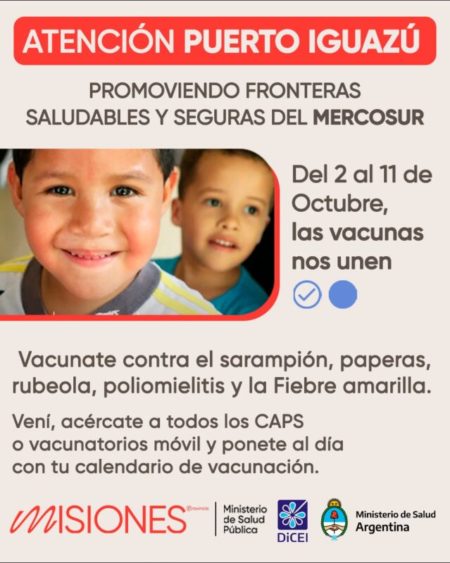 2 al 11 de octubre: “La vacunación nos une” será el lema de las acciones que se desarrollarán en Puerto Iguazú imagen-9
