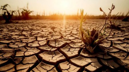 El 50% de los argentinos cree que todavía hay tiempo para frenar el cambio climático imagen-9