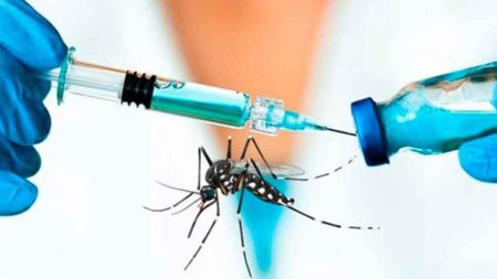 Confirman la llegada de la vacuna contra el dengue: cuándo y a cuánto estará disponible imagen-6