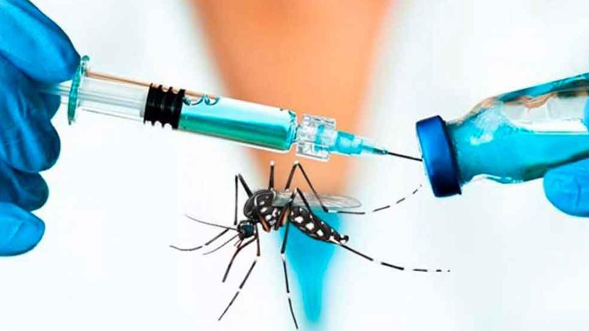 Confirman la llegada de la vacuna contra el dengue: cuándo y a cuánto estará disponible imagen-1