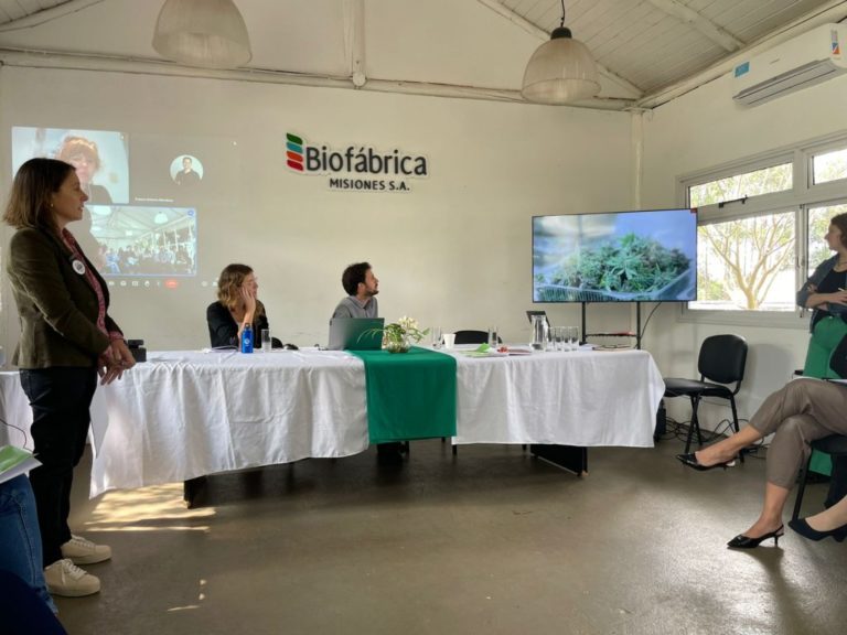 Presentaron en la Biofábrica Misiones el Informe Preliminar sobre Bioeconomía "que tiene el potencial de promover el desarrollo sostenible" imagen-16