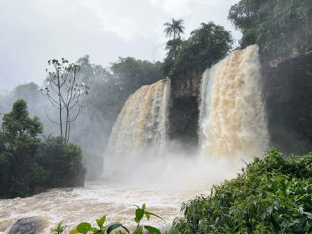 Temporal: suspenden el ingreso al Parque Nacional Iguazú imagen-5