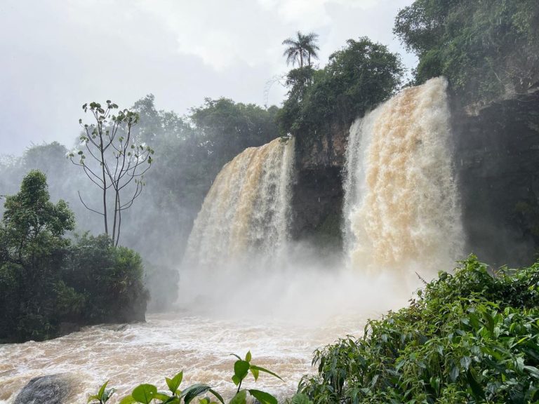 Temporal: suspenden el ingreso al Parque Nacional Iguazú imagen-50