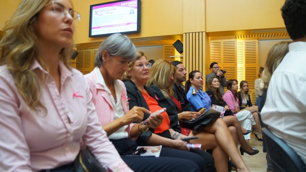 Legislatura: Comenzó el “Mes Rosa” para prevenir el cáncer de mama imagen-10