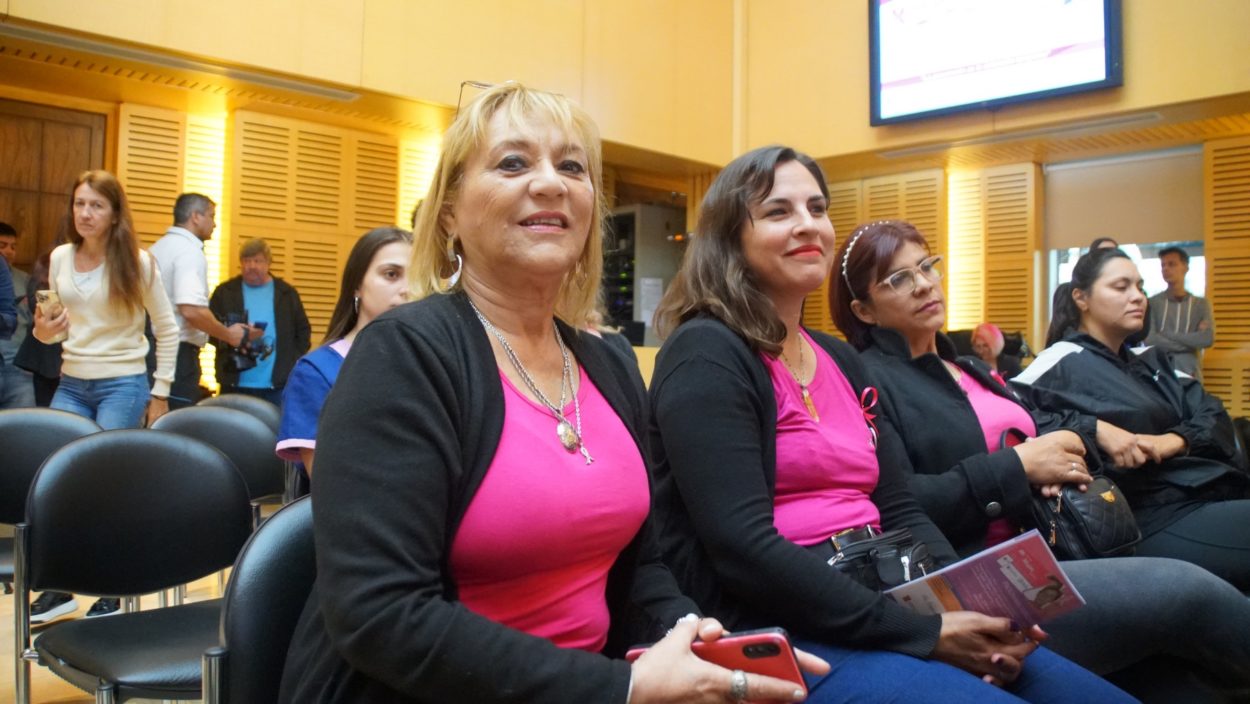 Legislatura: Comenzó el “Mes Rosa” para prevenir el cáncer de mama imagen-8
