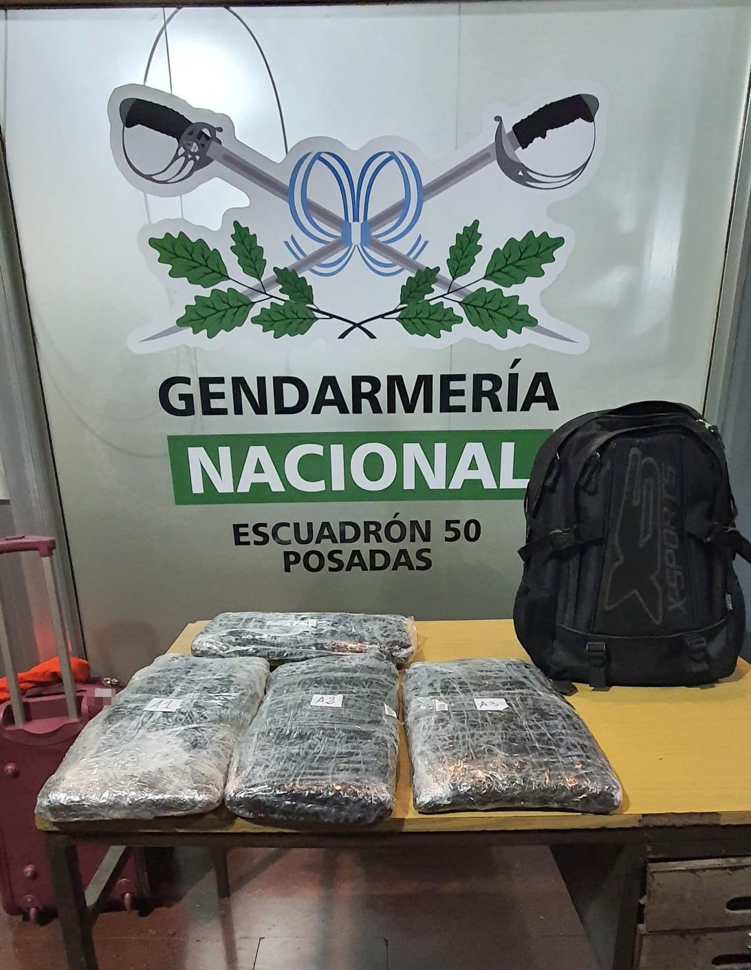 Terminal de Posadas: en dos procedimientos detectan, con la ayuda de "Gringo", más de 23 kilos de marihuana dentro de equipajes imagen-2