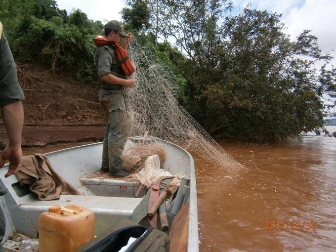 Rige la veda total de pesca en el río Uruguay y sus afluentes imagen-2