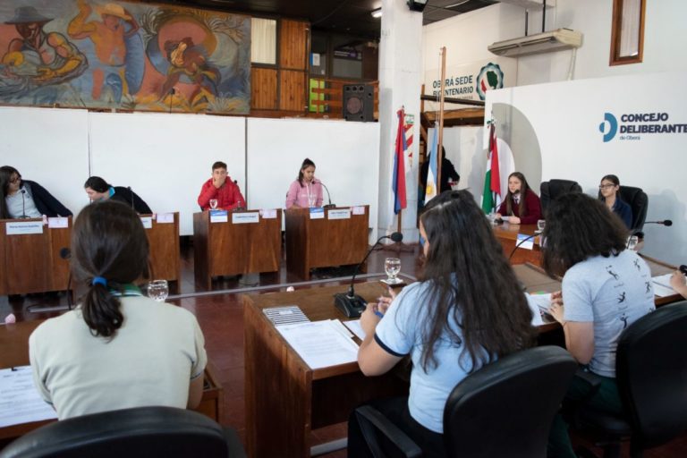 Proyectos sobre el cuidado del ambiente marcan la agenda del Parlamento Estudiantil Obereño imagen-40