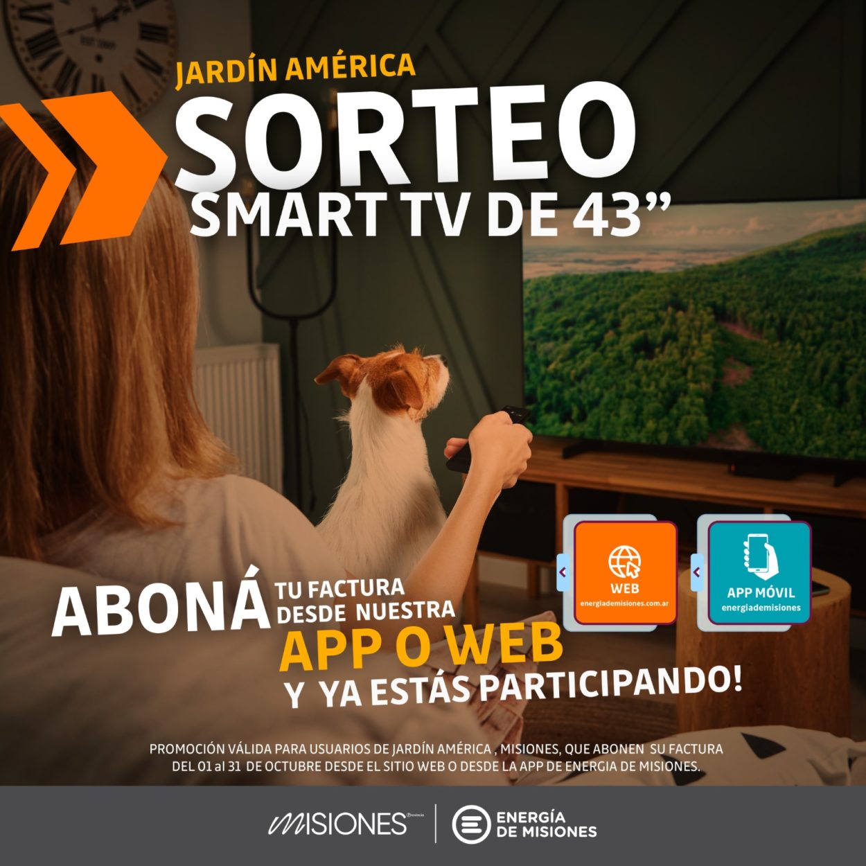 Jardín América: ganate un Smart TV abonando tus facturas de forma online desde la APP o web de Energía de Misiones imagen-1