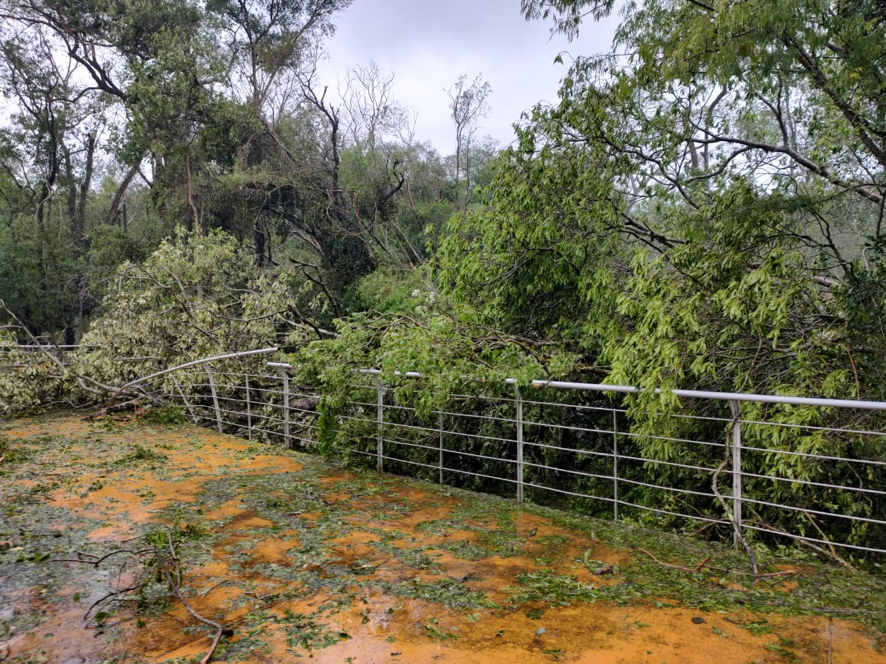 Por daños del temporal, el Parque Salto Encantado estará cerrado hasta el miércoles imagen-4