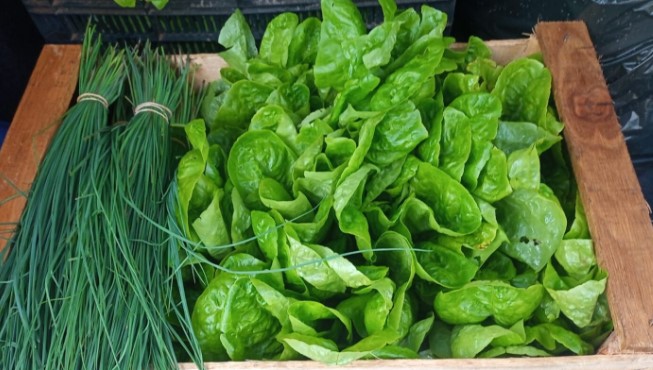 Día Mundial del Vegetarianismo: ¿cuáles son los países que más excluyen a los animales de su dieta? imagen-29