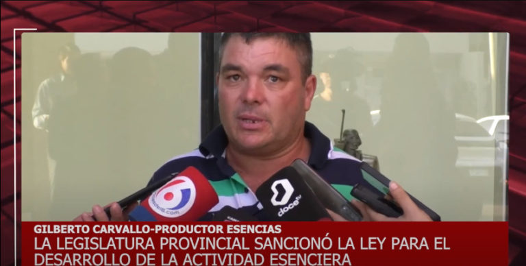 Productor de El Soberbio destacó la sanción de la ley para el desarrollo de la actividad esenciera  imagen-32