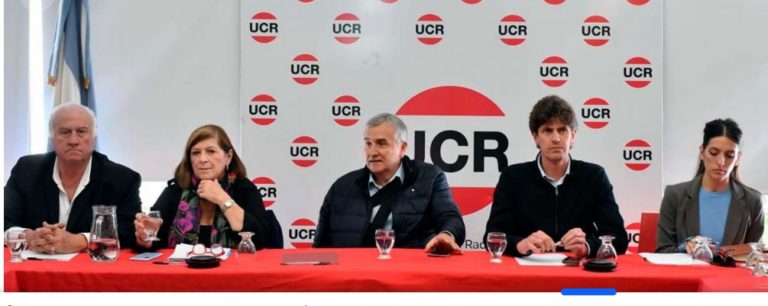 La UCR resolvió que no acompañará a Massa ni a Milei en el balotaje imagen-2