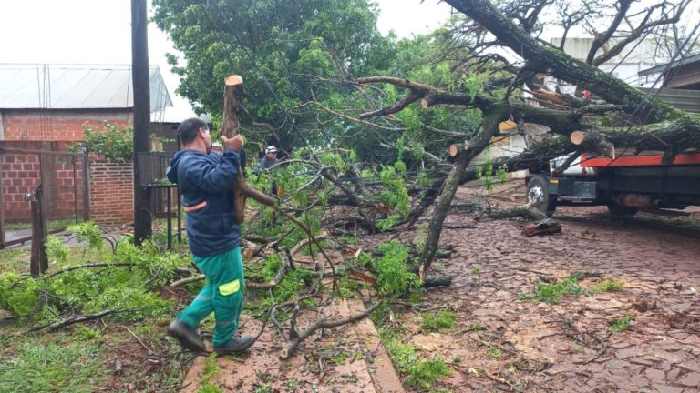 Temporal: la Comuna posadeña activó un plan de contigencia imagen-12