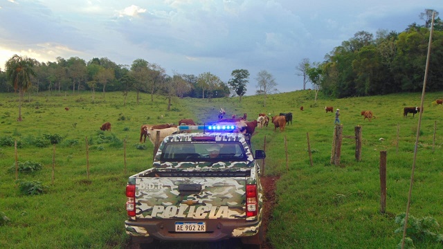 "Tenés los días contados": "Para mí que liberaron la zona", dijo el productor ganadero del Alto Paraná que denunció el robo de sus vacas y recibir amenazas de muerte imagen-6