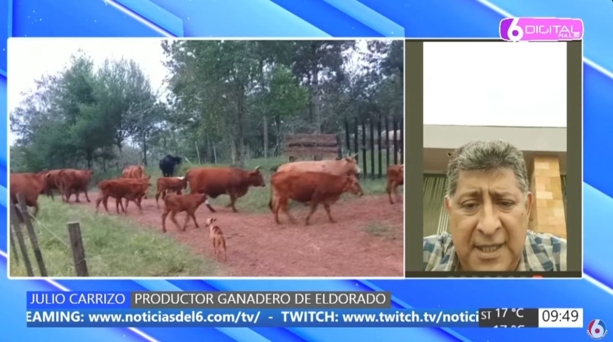 "Tenés los días contados": "Para mí que liberaron la zona", dijo el productor ganadero del Alto Paraná que denunció el robo de sus vacas y recibir amenazas de muerte imagen-2