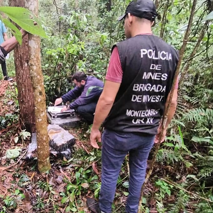 Operativo rural en Montecarlo: la Policía secuestró ladrillos de marihuana listos para ser transportados imagen-4