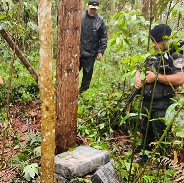 Operativo rural en Montecarlo: la Policía secuestró ladrillos de marihuana listos para ser transportados imagen-6