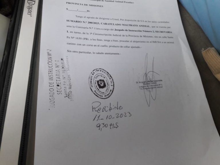 Malestar municipal con un Juez por intervenir en un caso confuso de atención a un perro con signos de maltrato imagen-46