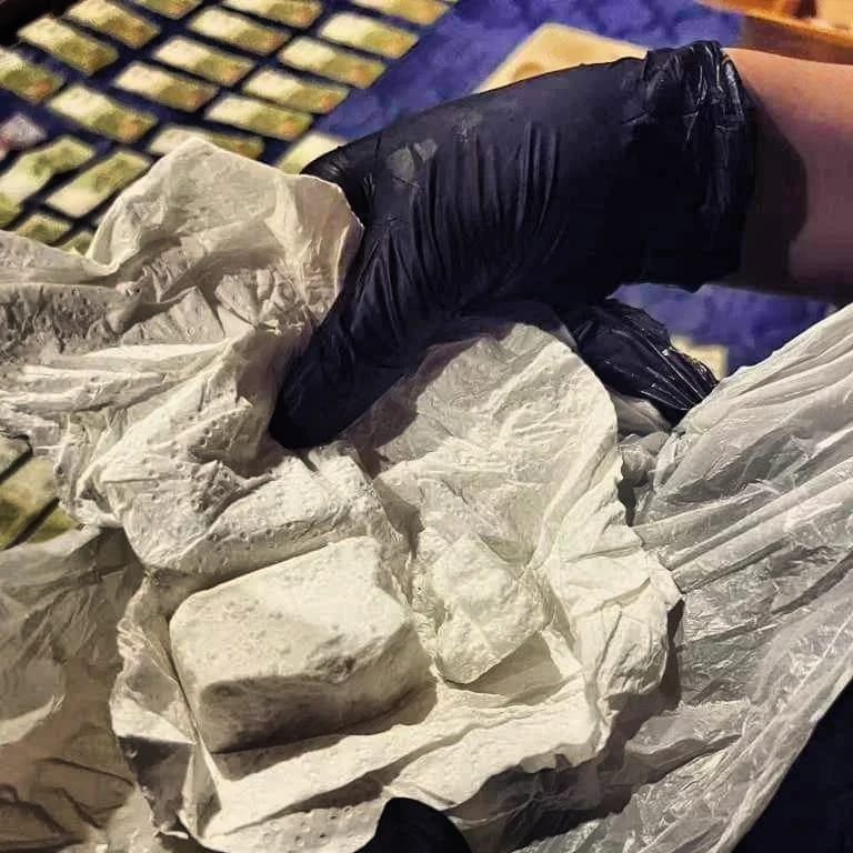Policía de Misiones secuestró más de 22 toneladas de marihuana en lo que va del año imagen-4