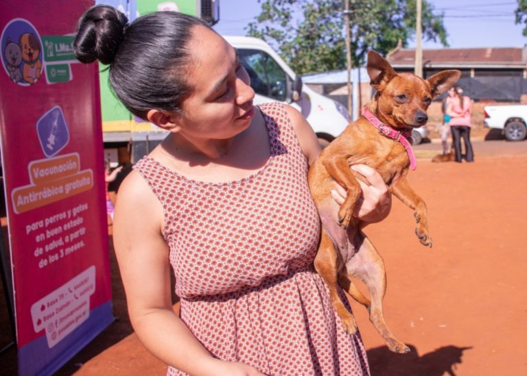 Tenencia Responsable: Imusa lleva servicios de sanidad animal a los barrios imagen-38