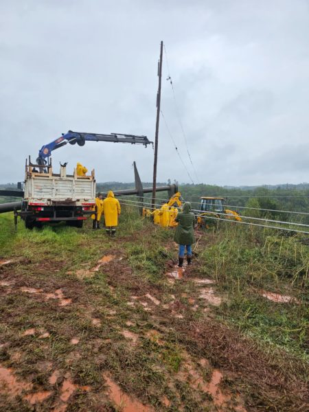 Operarios de Energía de Misiones trabajan para restaurar líneas eléctricas afectadas por el temporal y restablecer el servicio a localidades imagen-3