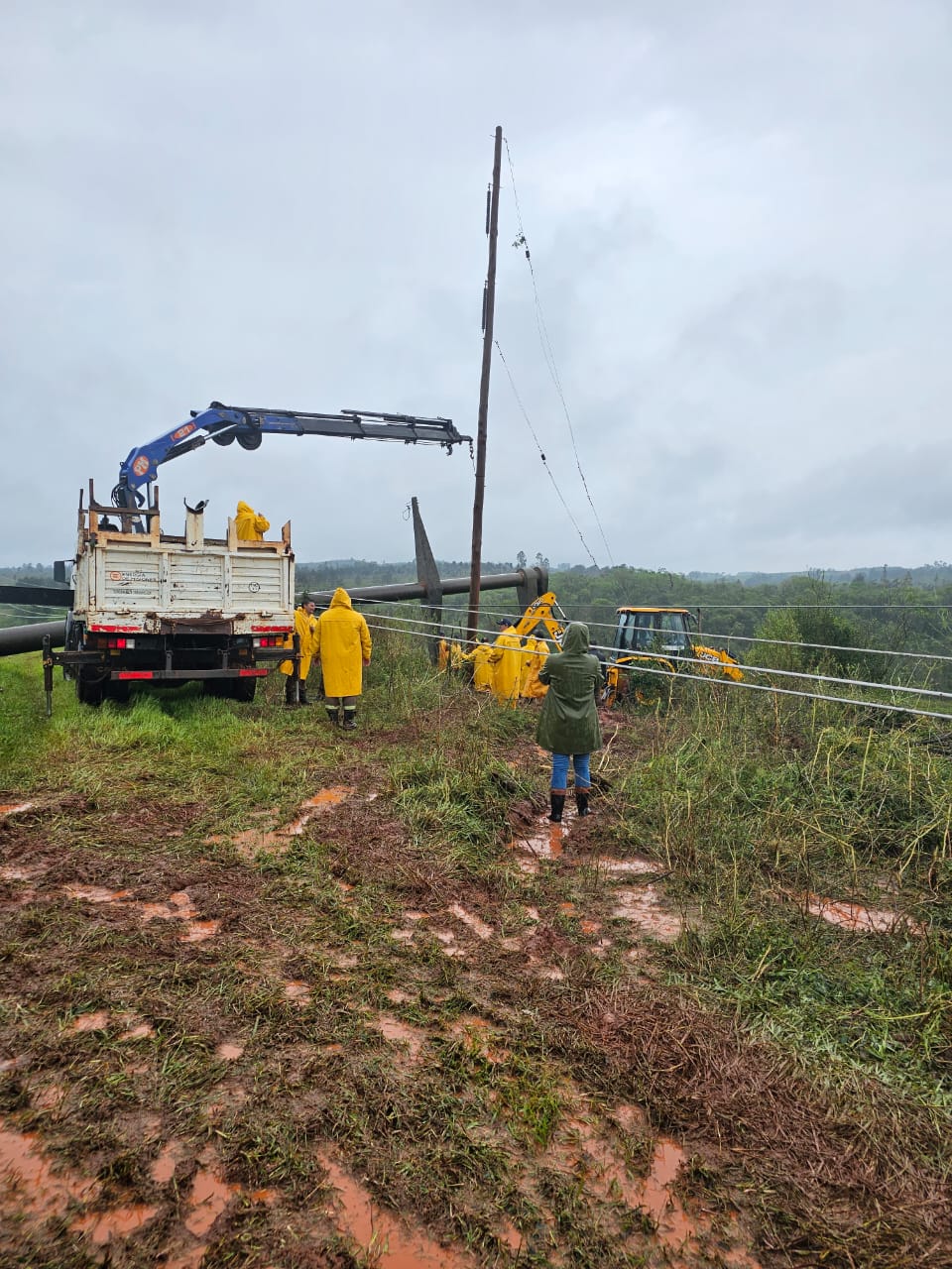 Operarios de Energía de Misiones trabajan para restaurar líneas eléctricas afectadas por el temporal y restablecer el servicio a localidades imagen-1