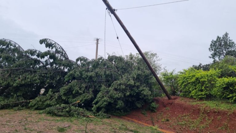 Temporal provocó la caída de una torre de alta tensión y más de 40 postes del tendido eléctrico, varias localidades quedaron sin servicio de energía imagen-47